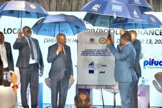 Guidelines for Public Private Partnerships Unveiled To Enhance Local Economic Development