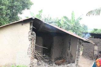 Uganda: Tragedy Strikes As Suspected ADF Rebels Raid Kamwenge District, Claiming Three Lives
