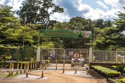 Kenyan Police Probe Four Alleged Murders at Del Monte Plantation