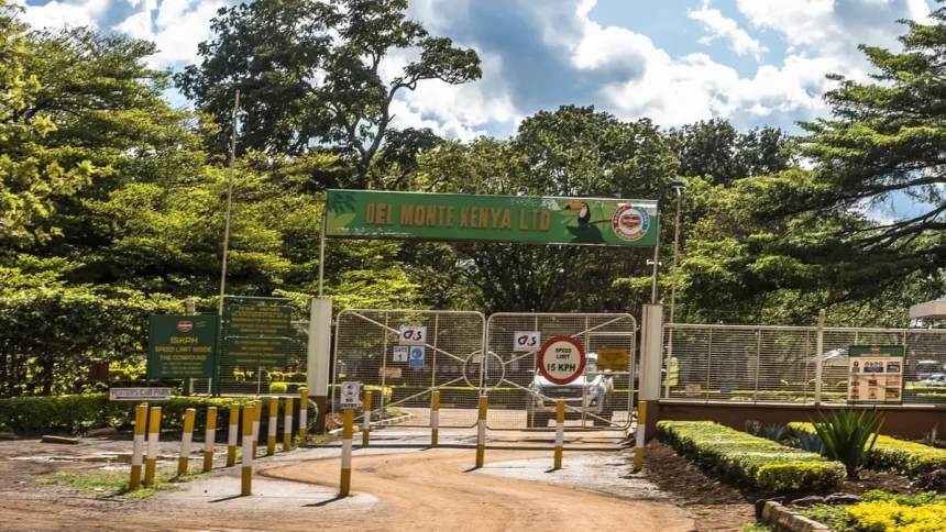 Kenyan Police Probe Four Alleged Murders at Del Monte Plantation