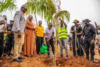 Businessman Hamis Kiggundu Supports Kampala Greening With 100,000 Trees