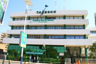 Tanzania Aims To Dominate African Electricity Market