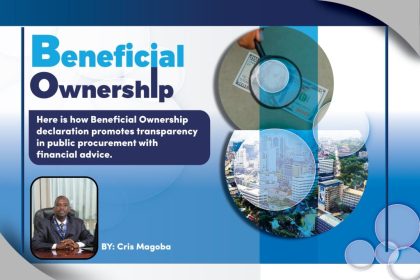 Unveiling Transparency: The Impact of Beneficial Ownership Declaration on Public Procurement Accountability