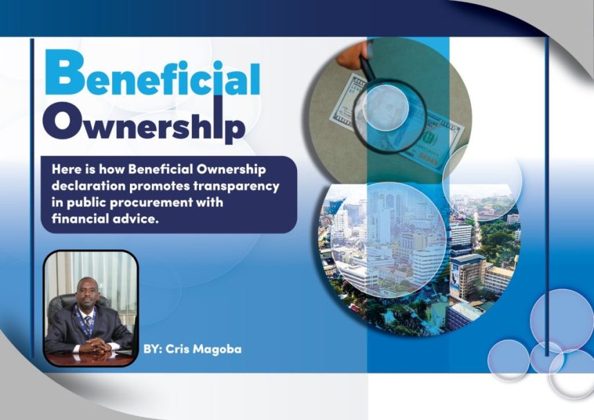 Unveiling Transparency: The Impact of Beneficial Ownership Declaration on Public Procurement Accountability