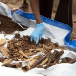 Rwandan Officials Say Mass Graves Till Being Unearthed Almost 30 Years After Genocide