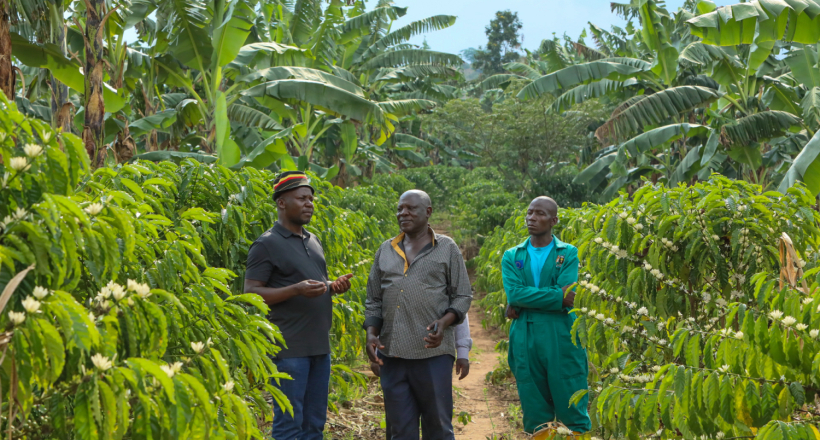 NRM’s Godfrey Kiwanda Tours Coffee Farms, Roots For Smart Agriculture