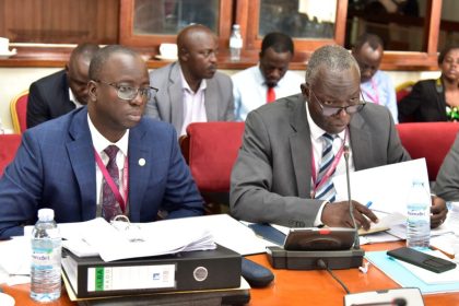 Parliament Orders Probe Into UGX 500m Gorilla Permits Fraud At UWA