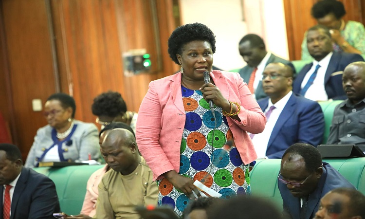 Tourism: Parliament Makes Case For UGX 4 Billion To Promote Uganda’s Potential