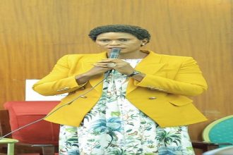 Parliamentarians Call For Clarification On Status Of Karuma Bridge