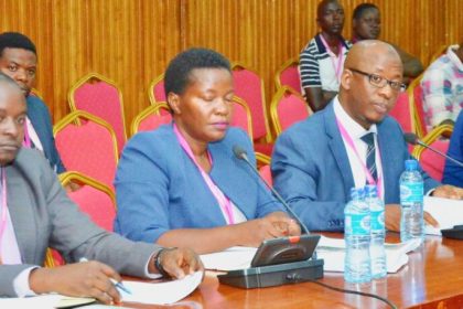NEMA Upholds Selective Wetland Demolitions Despite Public Backlash