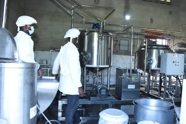 COSASE Legislators Criticizes Uganda Industrial Research Institute For Favoritism In Machinery Purchases, Highlighting Struggles Of Other Industrialists