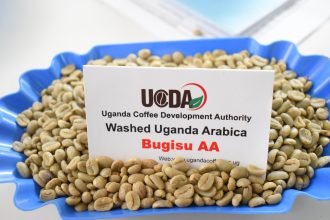 Bugisu & Buganda Lawmakers Oppose Government's Plan To Abolish UCDA, Warn Of Risks To Uganda's Coffee Sector