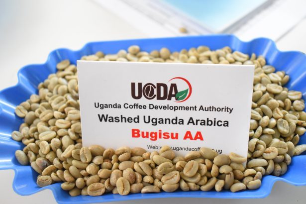 Bugisu & Buganda Lawmakers Oppose Government's Plan To Abolish UCDA, Warn Of Risks To Uganda's Coffee Sector