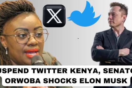 Senator Gloria Orwoba Questions Elon Musk's X Corp. Formerly Twitter Operations In Kenya