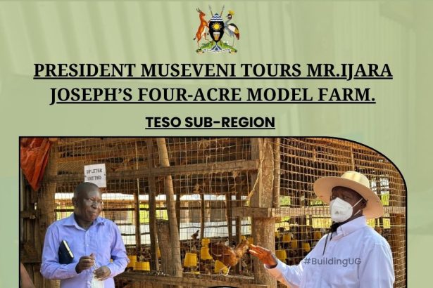 'From Taxi Driver To Agricultural Pioneer' How President Museveni’s Four-Acre Model Message Transformed A Life