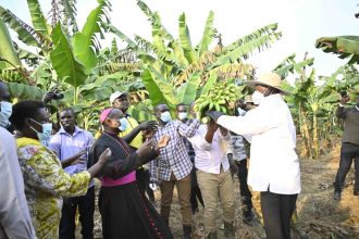 President Museveni Urges Teso Leaders To Combat Land Fragmentation For Sustainable Development