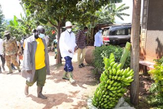 President Museveni Applauds Sebei Farmers For Embracing Four-Acre Model To Boost Productivity And Income