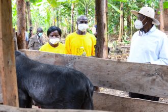 President Museveni Directs Local Leaders To Document Parish Development Model Beneficiaries For Effective Program Tracking