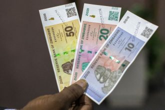 Zimbabwe Loses US$5 Billion To Monetary, Forex Policy Chaos: World Bank
