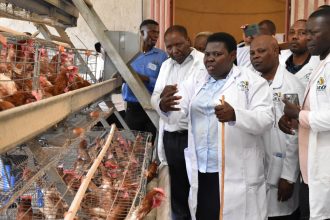 Embrace Poultry farming To Fight Poverty, NRM DS Namayanja Nsereko Tells Nakaseke Residents