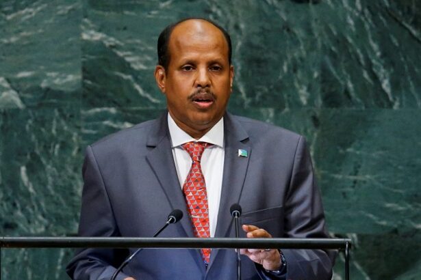 Djibouti's Foreign Minister Mahmoud Ali Youssouf Elected As New African Union Commission Head