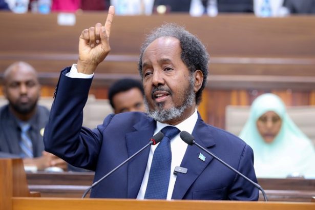 Somali President Hassan Mohamud Vows To Defeat Terrorist Groups