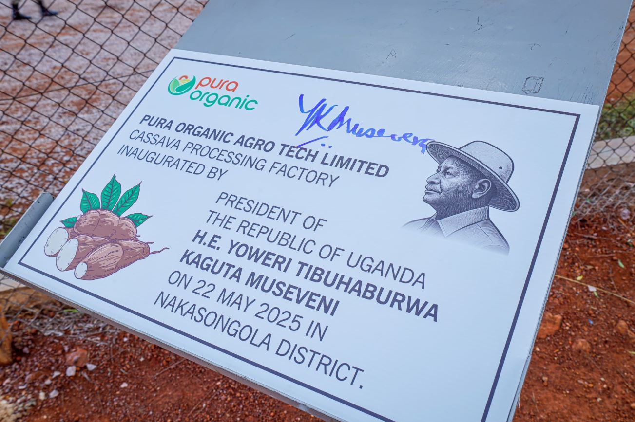 President Museveni Commissions Pura Organic Cassava Factory In Nakasongola
