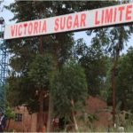 Victoria Sugar Factory Battles Smear Campaign Amid Uganda’s Drive For Industrial Growth