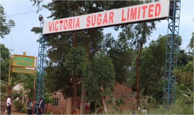 Victoria Sugar Factory Battles Smear Campaign Amid Uganda’s Drive For Industrial Growth