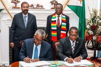 Nigeria's Billionaire Aliko Dangote Plans $1 Billion Investments In Zimbabwe